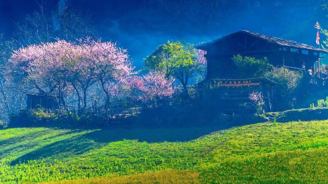 探索知识,尽在“如何防止求职受到歧视?”平台
